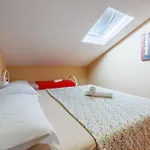 Masic * 茨里克韦尼察